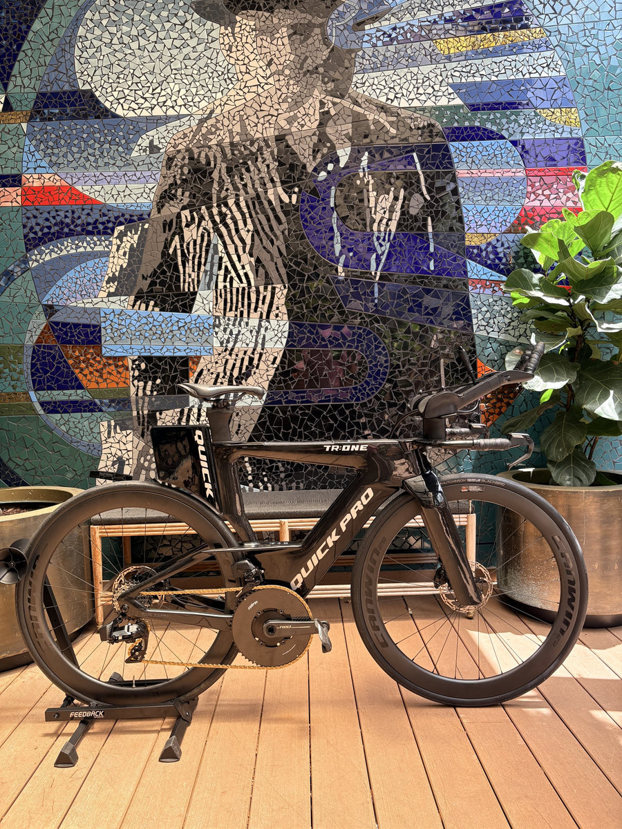 Quick Pro TR:ONE Frameset