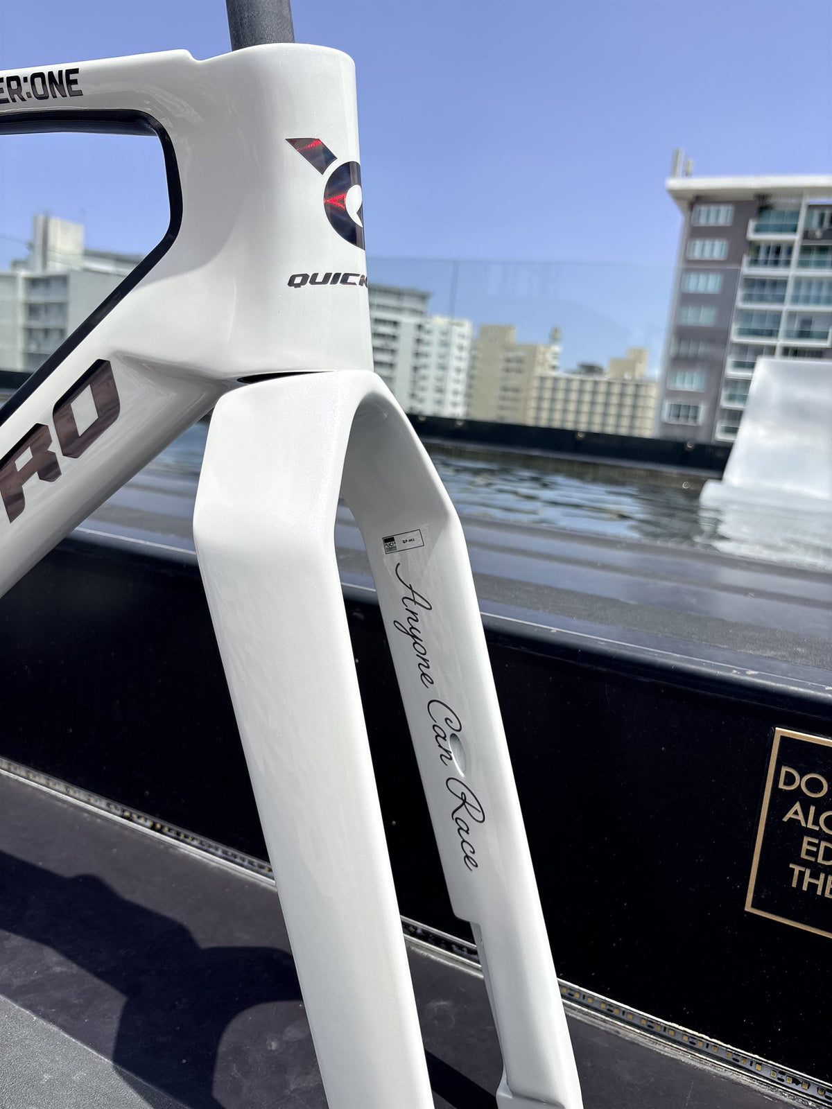 Colorway: Starlight White — Anyone Can Race fork script
