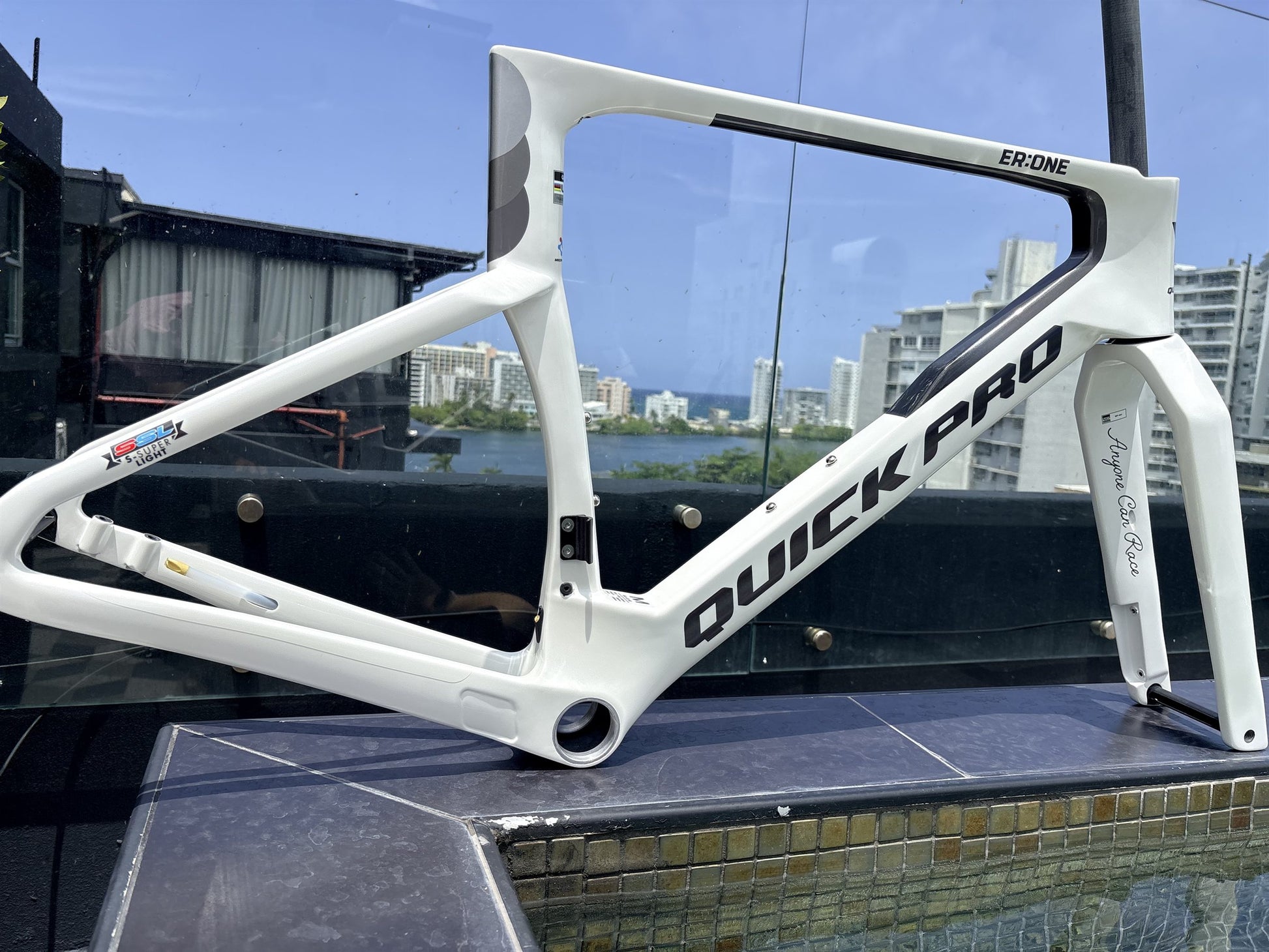 Colorway: Starlight White — frameset and fork, drive side, size M