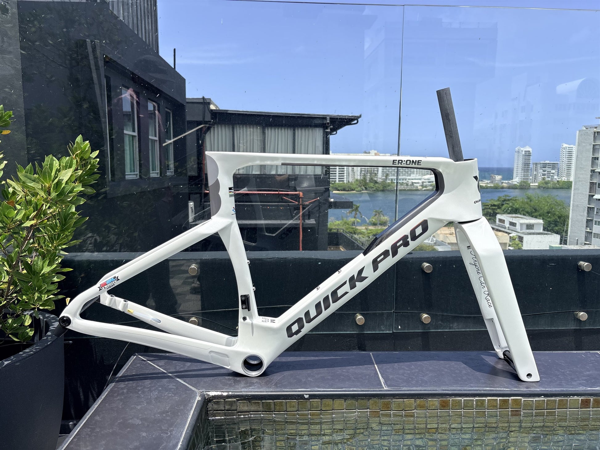 Colorway: Starlight White — frameset and fork, size M