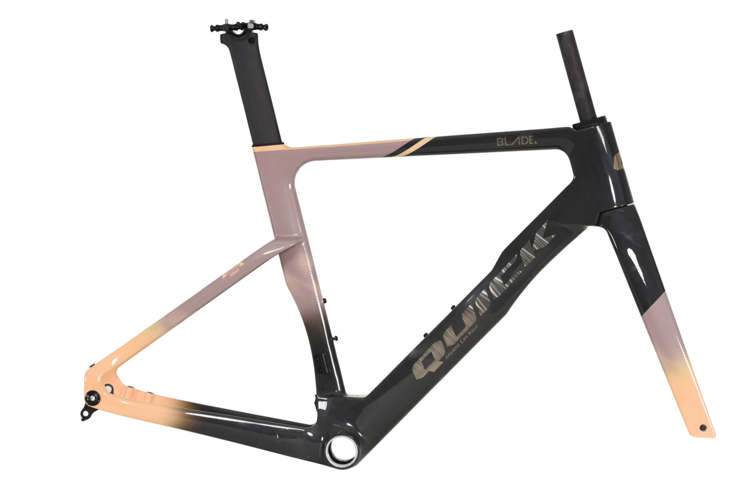 Quick Pro BLADE Frameset
