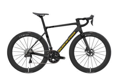 Colorway: Black Edge Gold